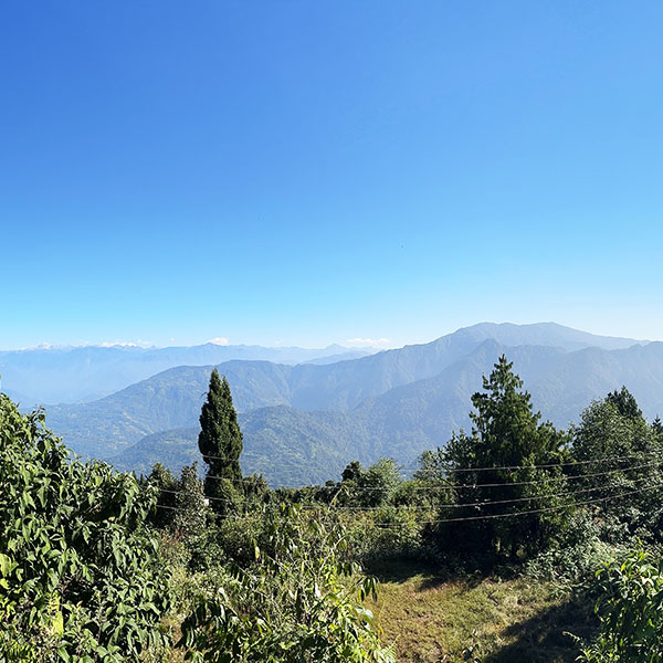 Kalimpong