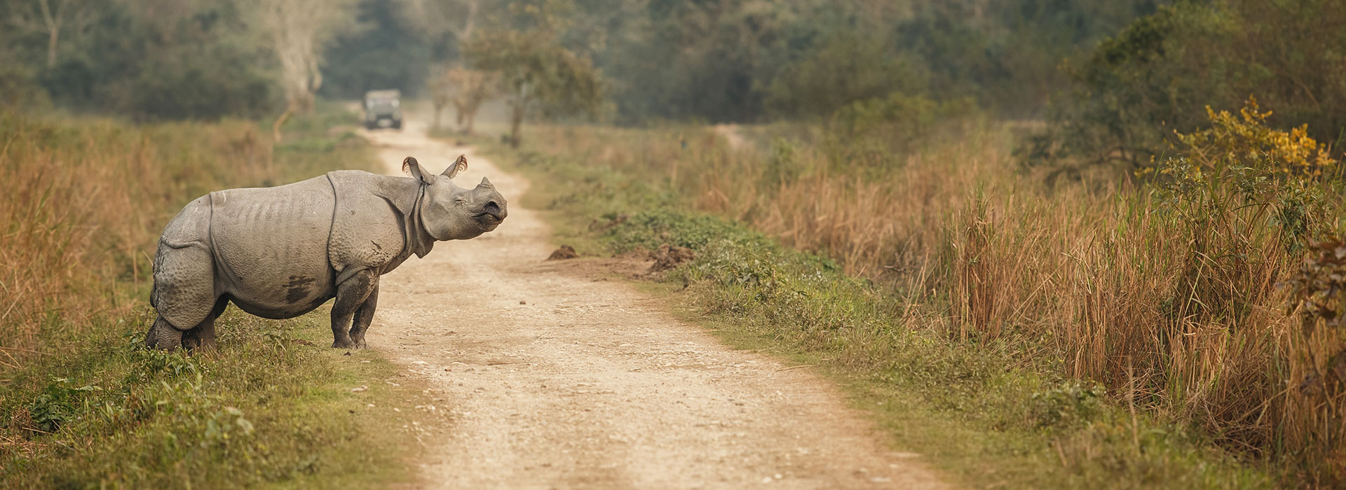 Weekend Escape to Dooars