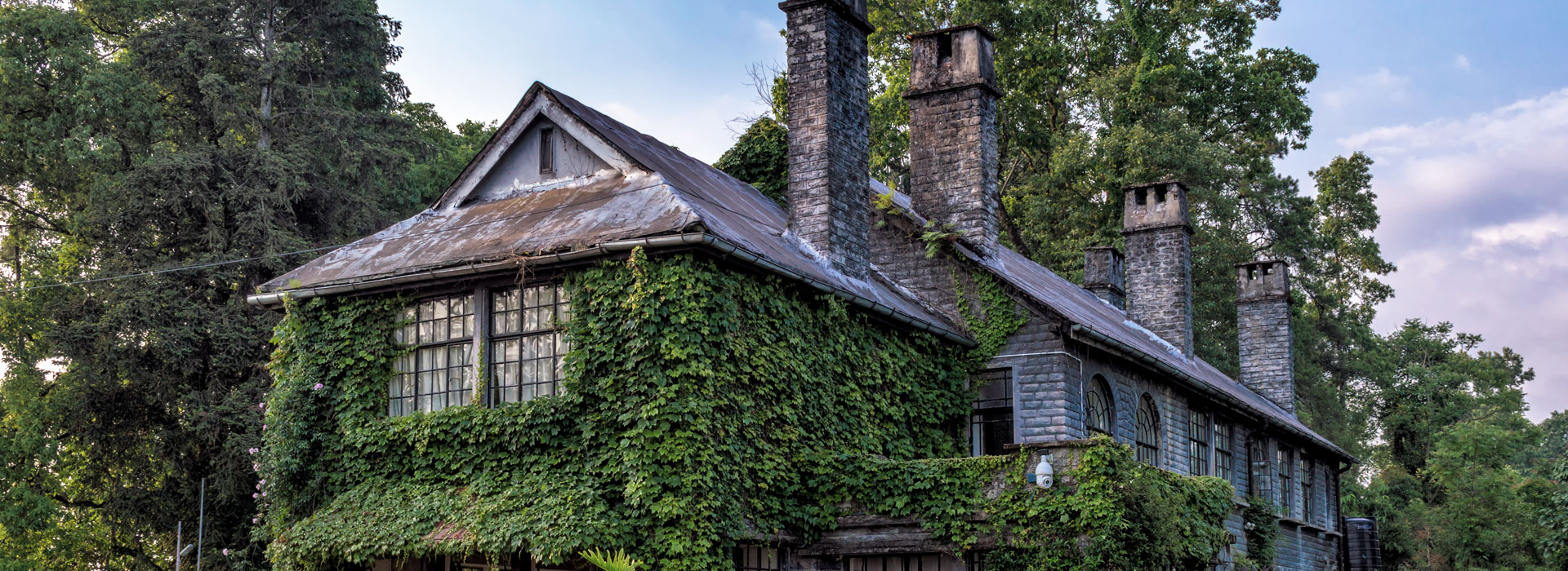 Mystic Kalimpong Hills